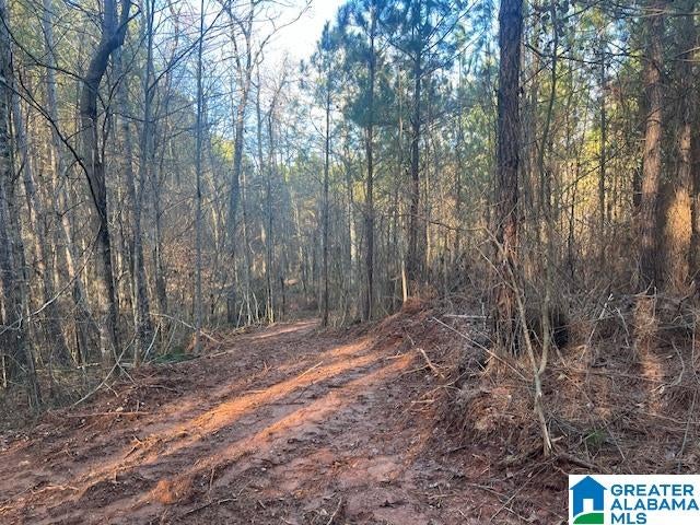 LAMBERT ROAD 56 Ac