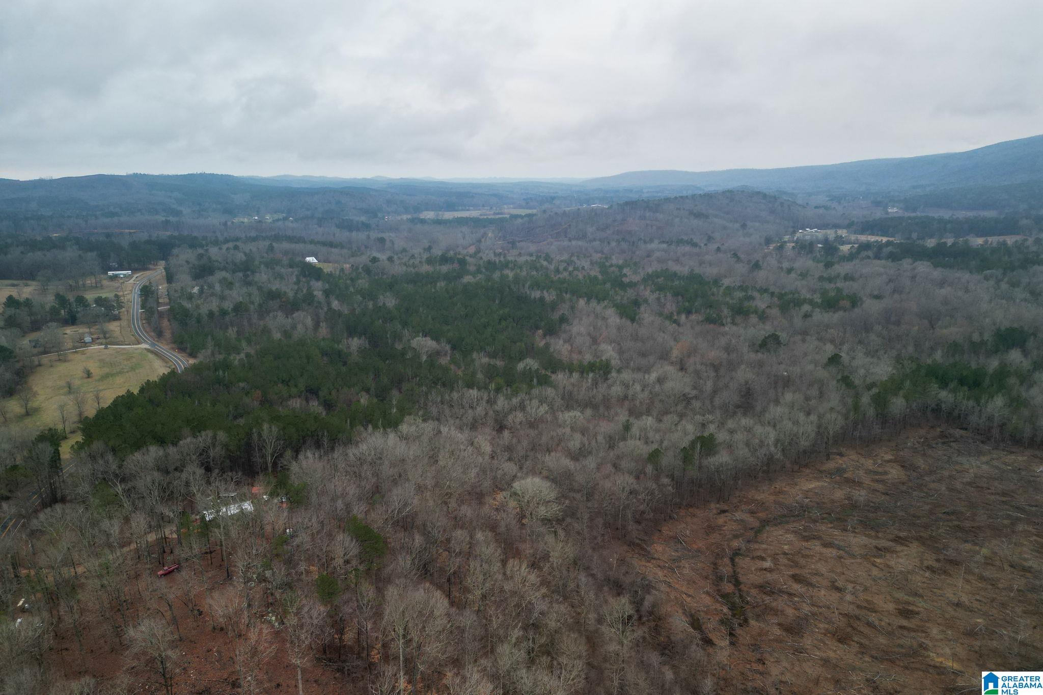 0 HIGHWAY 49 0 - Photo 3