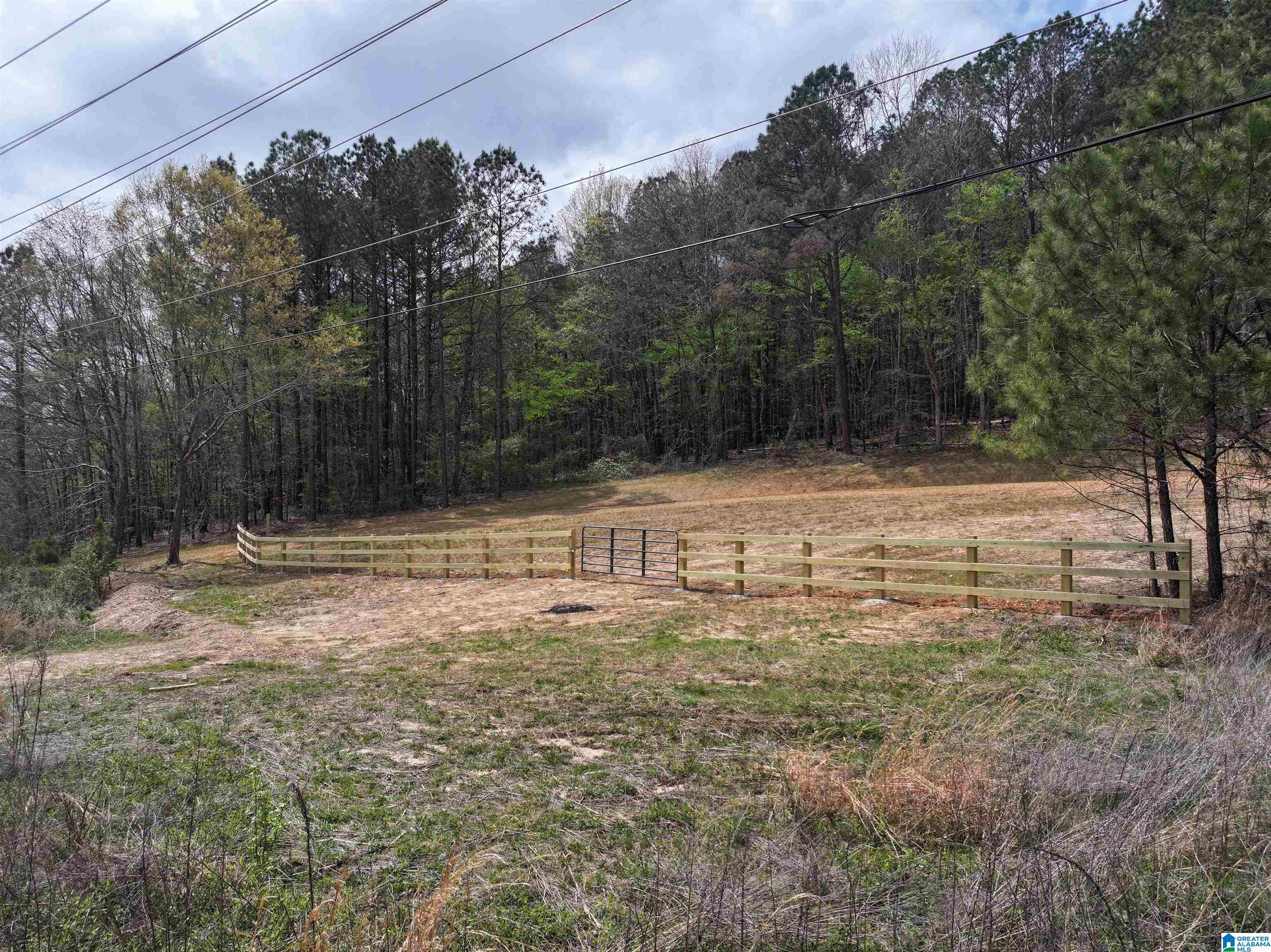 8066 GLENDALE FARMS ROAD 04