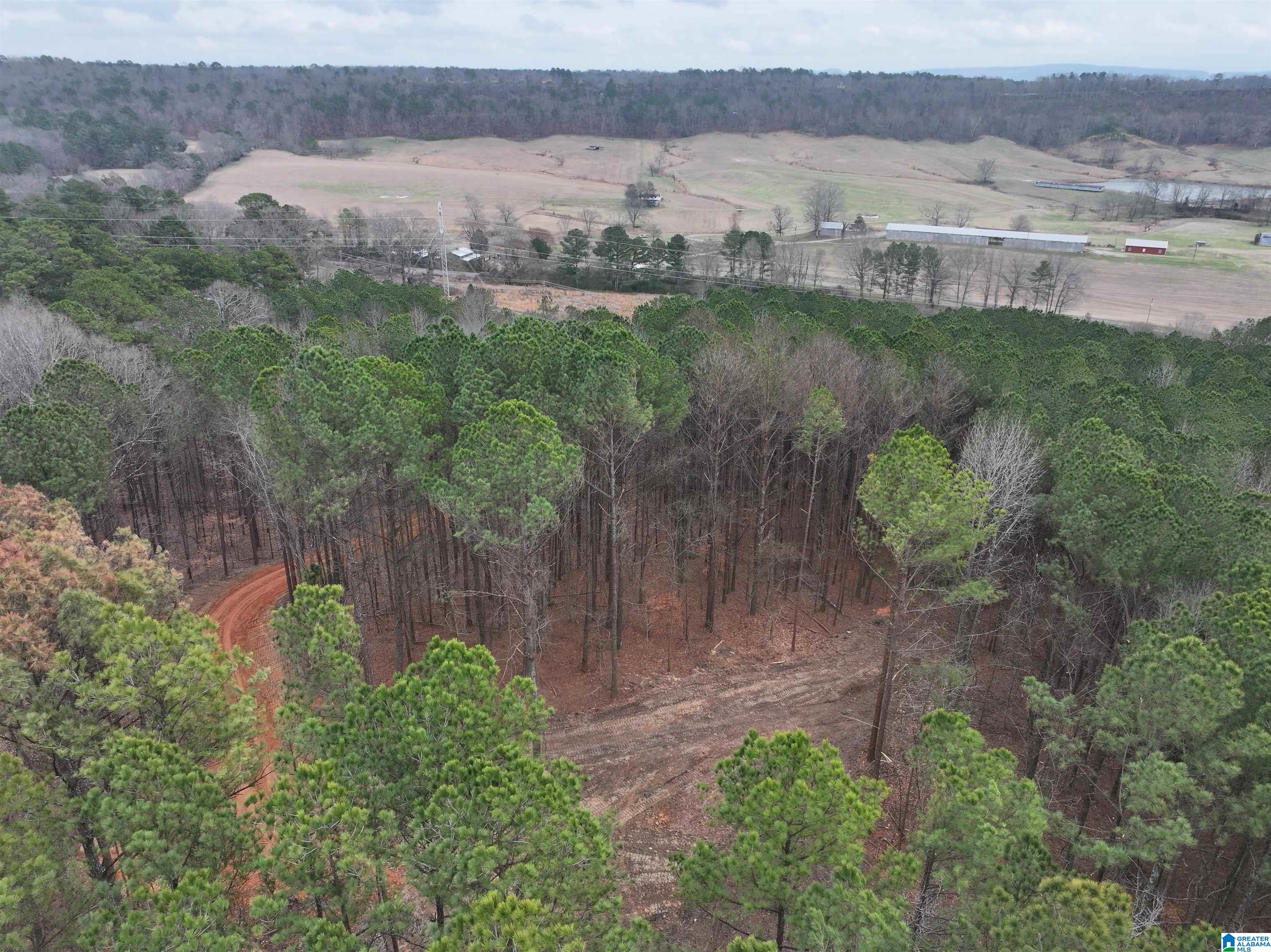 8066 GLENDALE FARMS ROAD 04