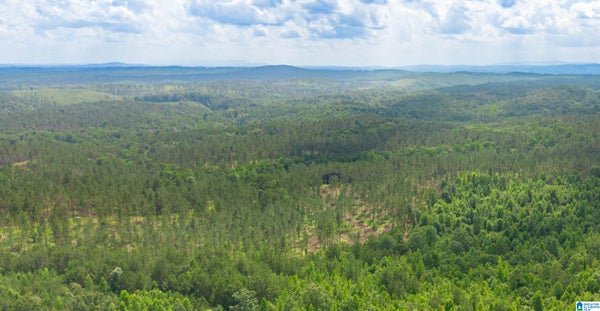 ADDRESS PRIVATE, FRUITHURST, AL 36262 - Image 27effc2e4382f896c2b3343a103f3e4a/3523331068