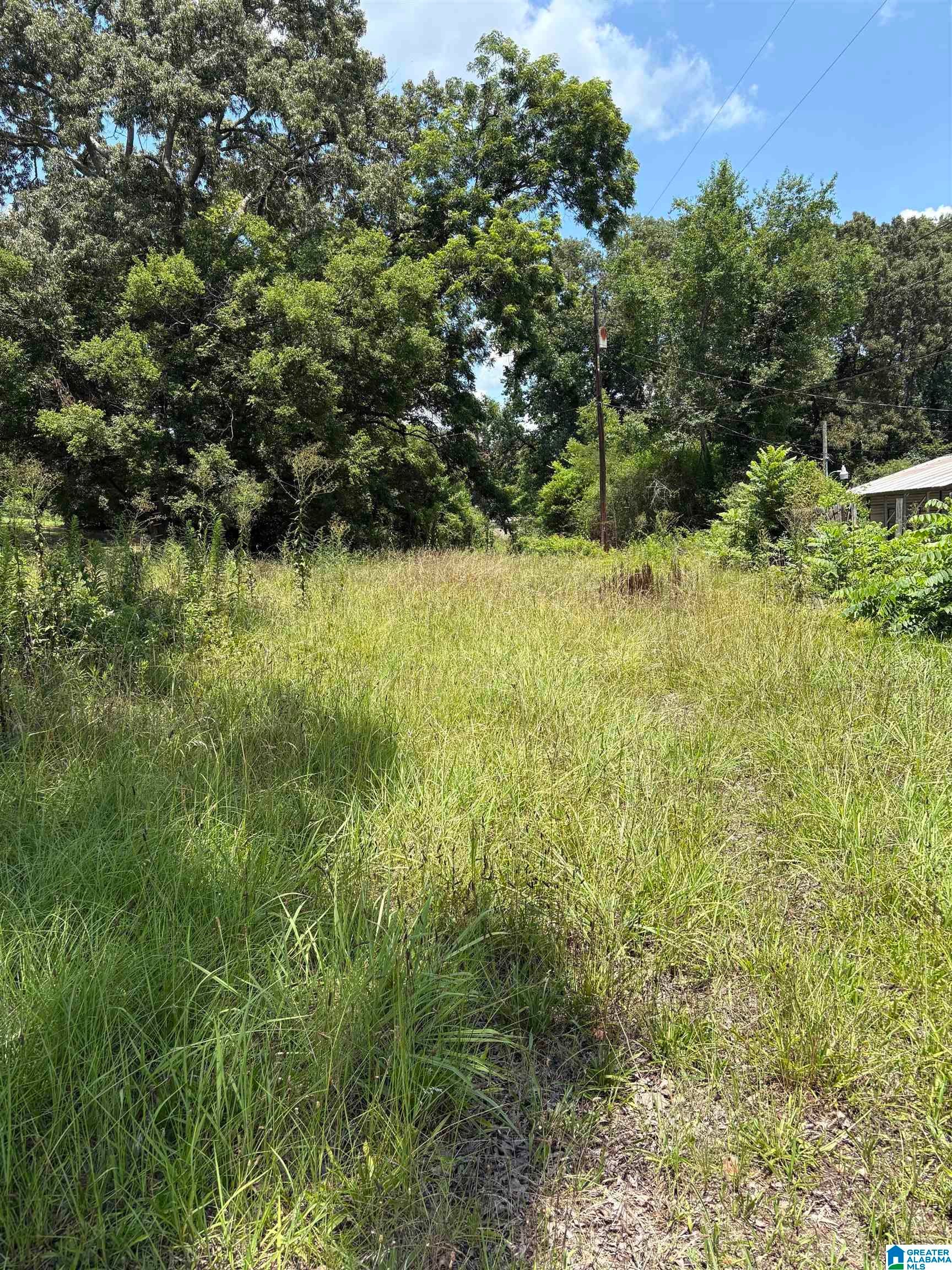 1206 CLOVERDALE ROAD 12