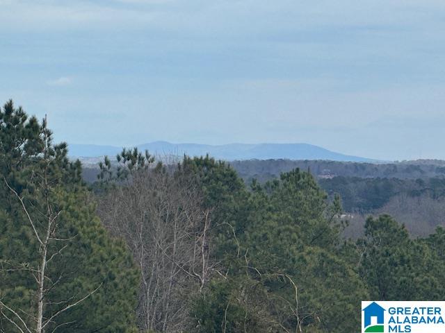 3953 LOGAN MARTIN DAM ROAD E