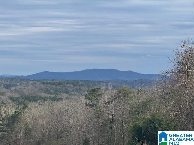 3953 LOGAN MARTIN DAM ROAD E