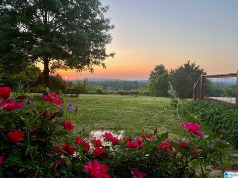 3953 LOGAN MARTIN DAM ROAD E CROPWELL AL 35054