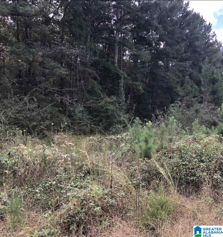 Photo 1 of 1 — THOMASTON ROAD 35, LINCOLN, AL 35096