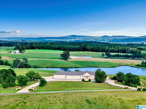 377 COUNTY ROAD 543 HANCEVILLE AL 35077