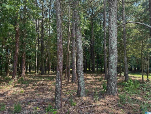0 CARRIE COURT SW # 68, JACKSONVILLE, AL 36265 - Image 299418e2c55ee8328b4e71f0d0677f91/1633292164