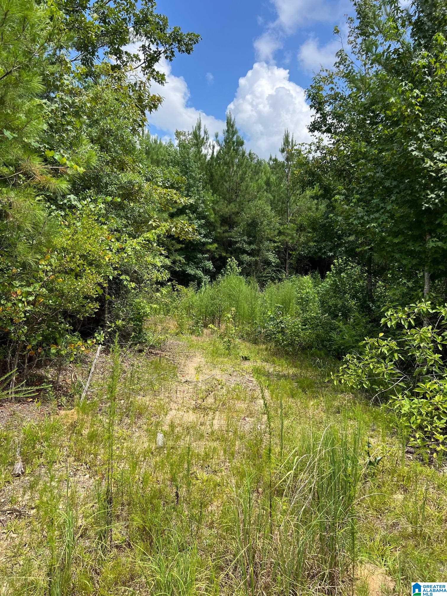 00 CAHABA HILL ROAD N/A