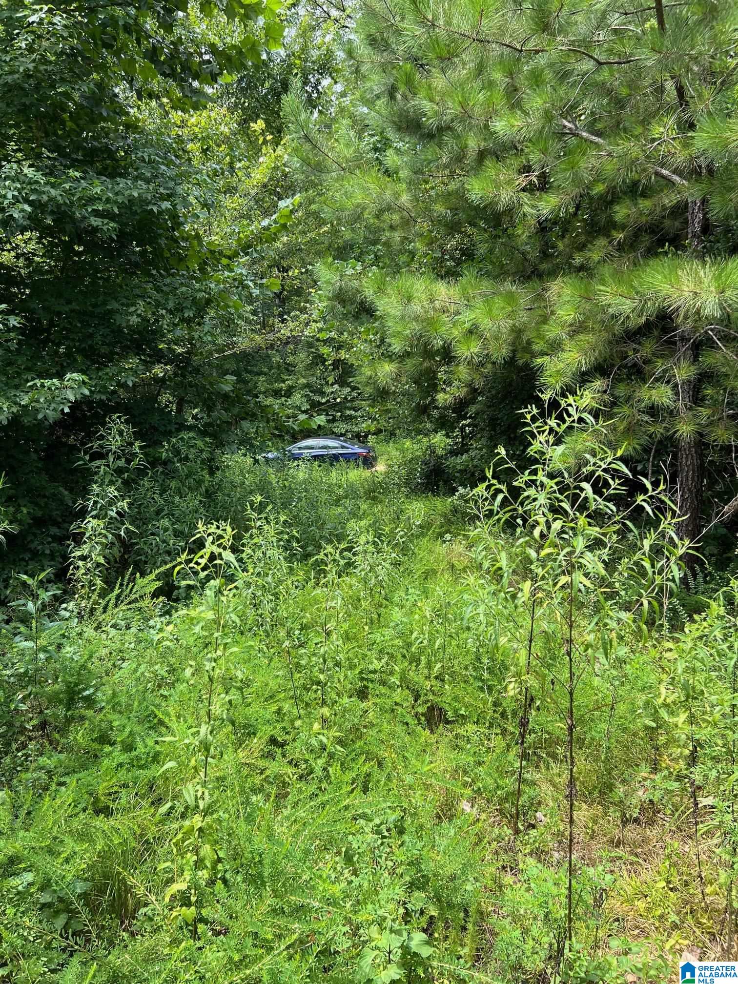 00 CAHABA HILL ROAD N/A