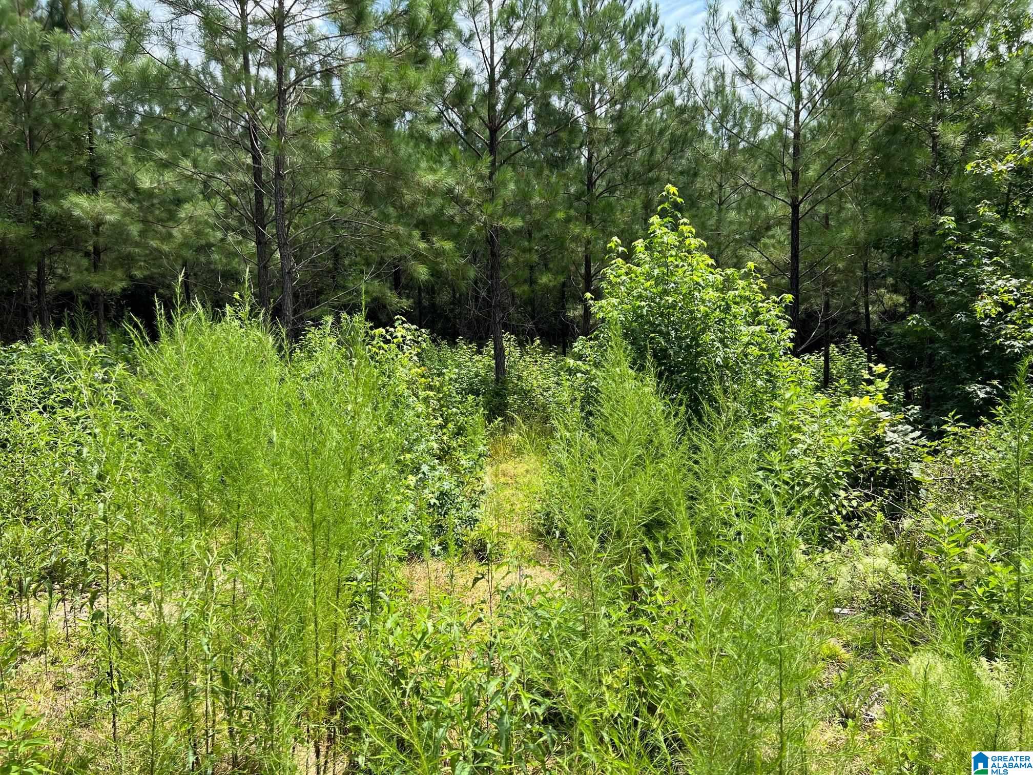 00 CAHABA HILL ROAD N/A