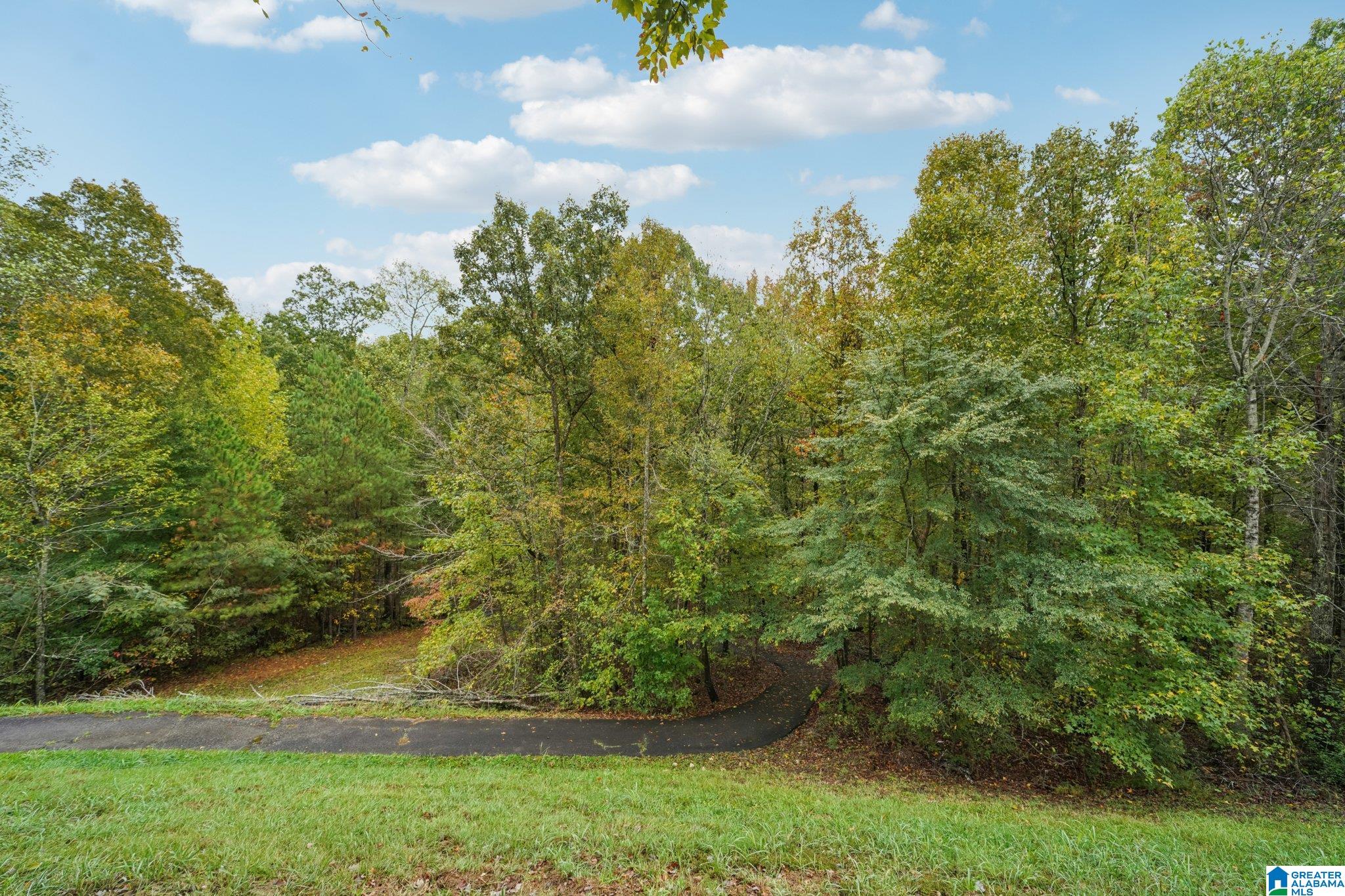 2392 CHALYBE TRAIL