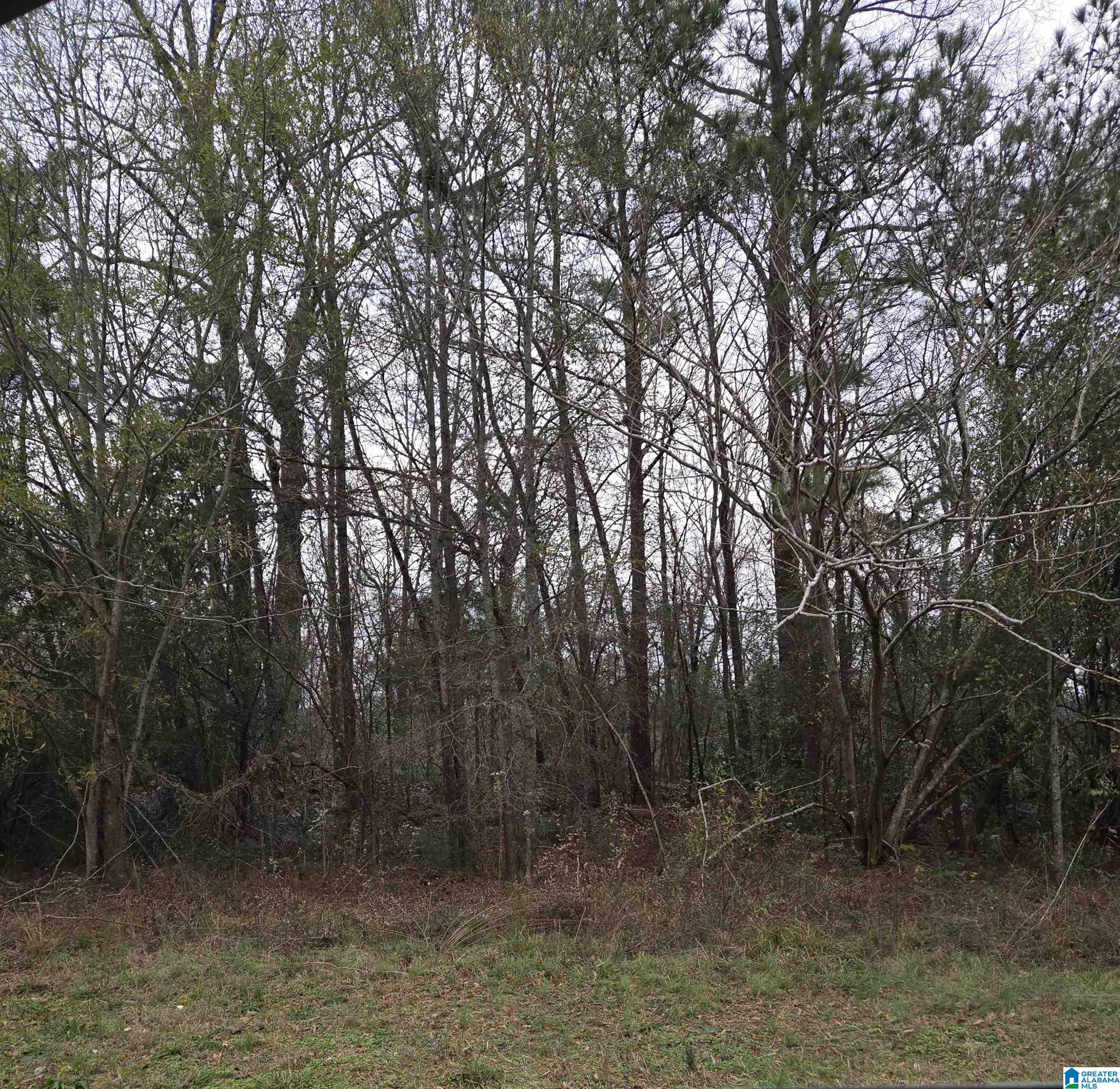 2151 VETERANS MEMORIAL DRIVE 1