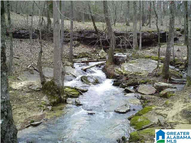 0 HIDDEN LAKE DRIVE 1