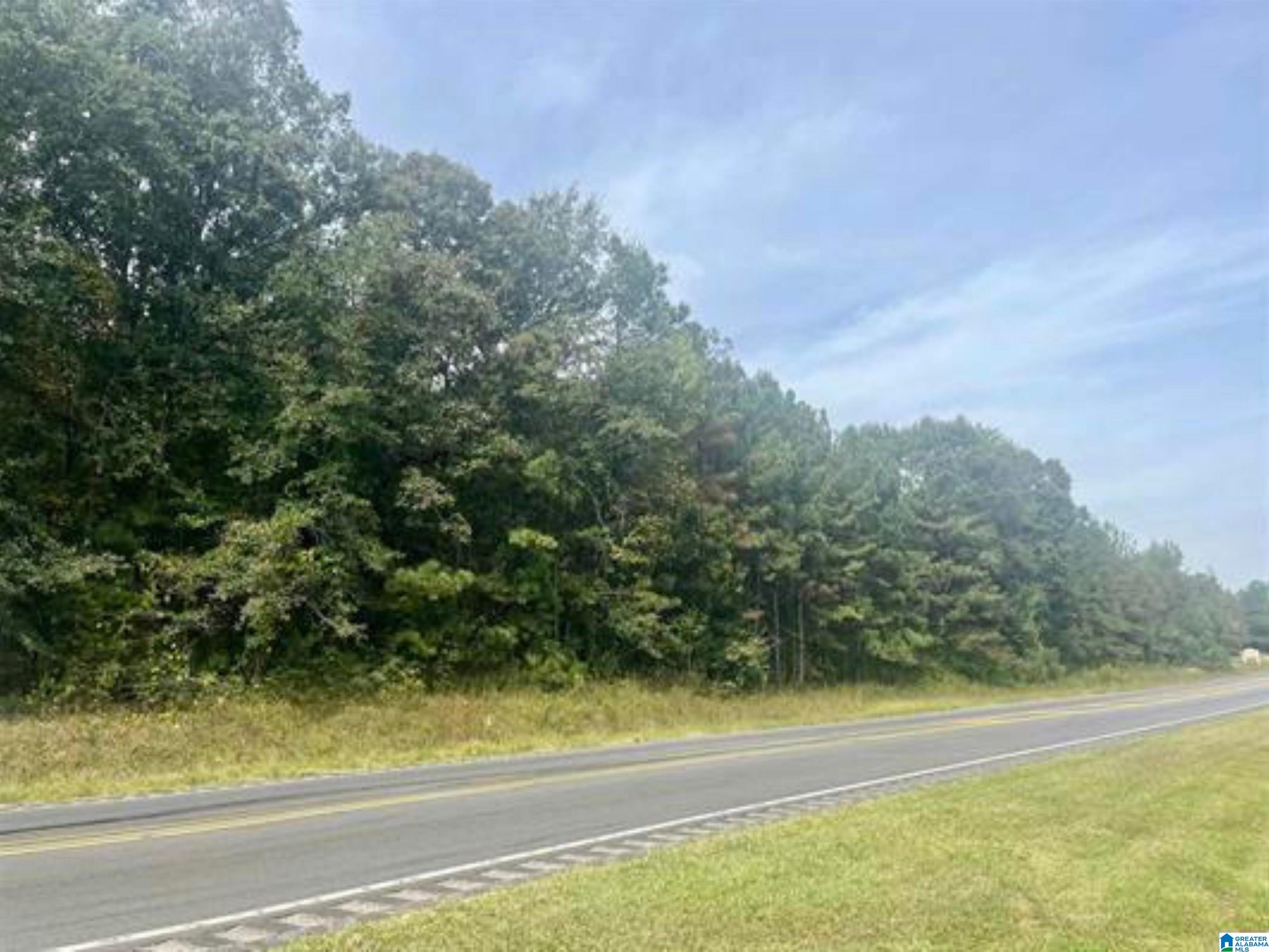 5.7 Acres HIGHWAY 431