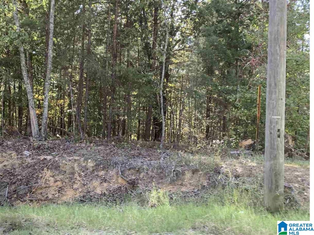 Photo 1 of 1 — 8660 PINE MOUNTAIN ROAD 1, PINSON, AL 35126