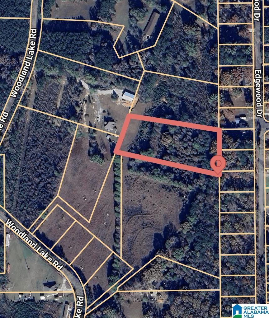 12799 WOODLAND LAKE ROAD 8