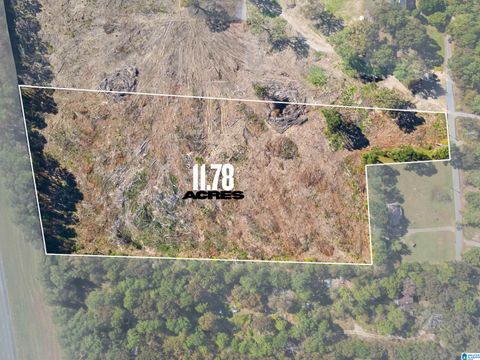 655 COUNTY LINE ROAD 0 EASTABOGA AL 36260