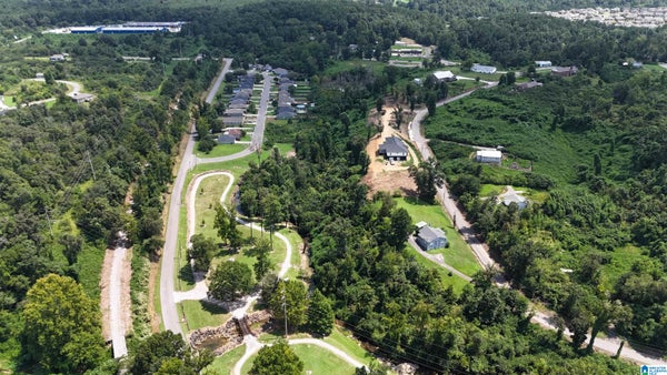 908 WALKER AVE # 1, BIRMINGHAM, AL 35217 - Image 2b1b4daf6e5846d793de3e21079b4d21/769935696