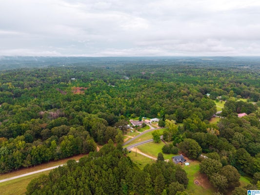 2727 MOUNT MORIAH RD # 1, PELL CITY, AL 35125 - Image 2c1682035f0b79e6cd68dae02892f79e/2872406009