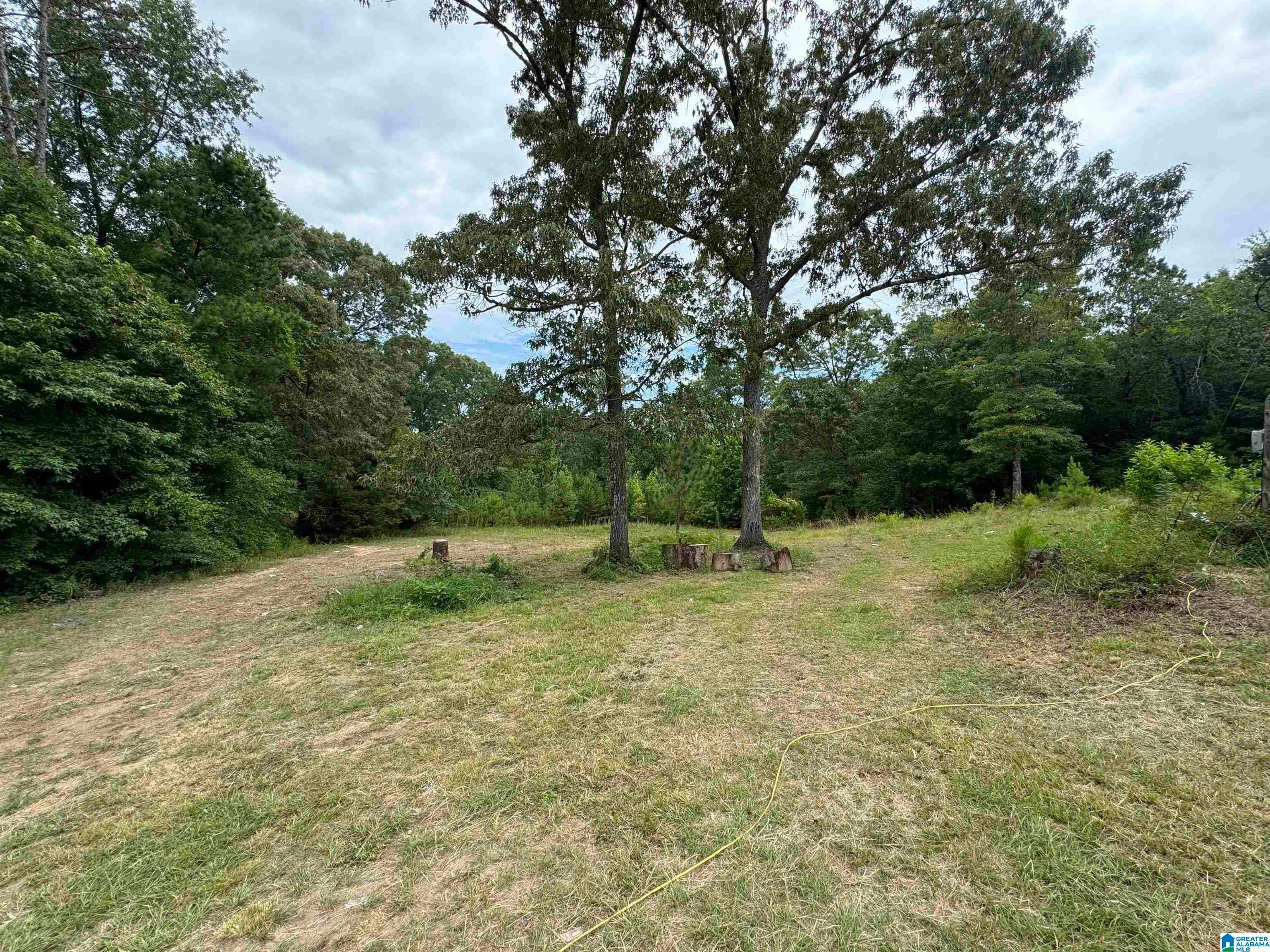 3917 COUNTY ROAD 1113 1 - Photo 2