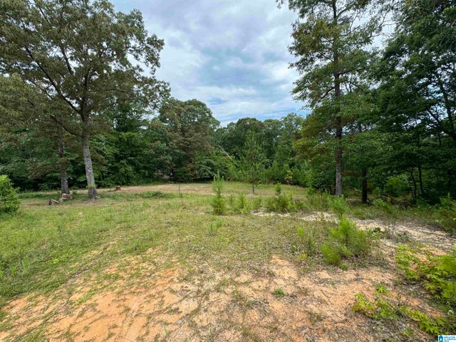 3917 COUNTY ROAD 1113 1