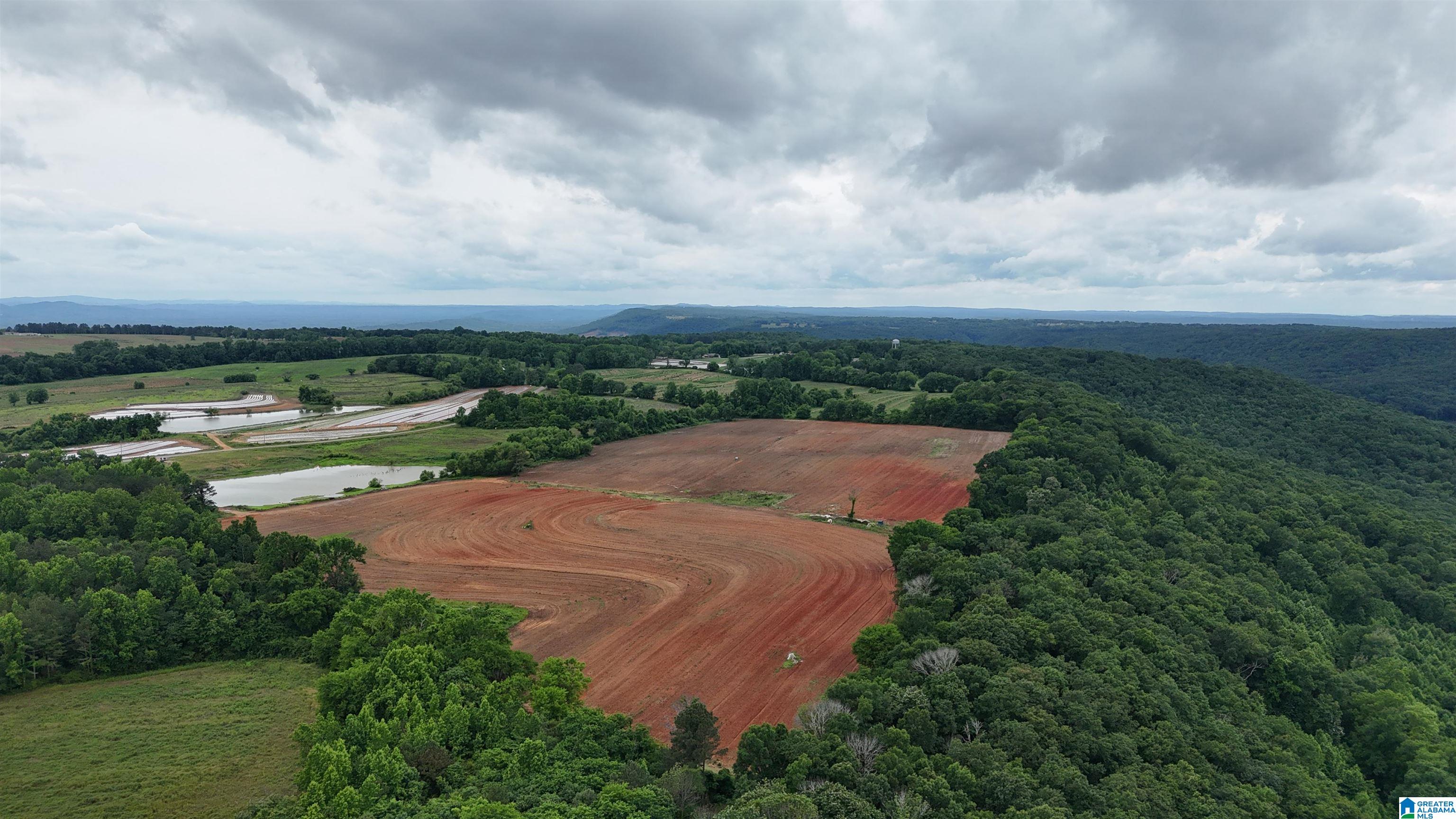 2683 COUNTY ROAD 42 N/A