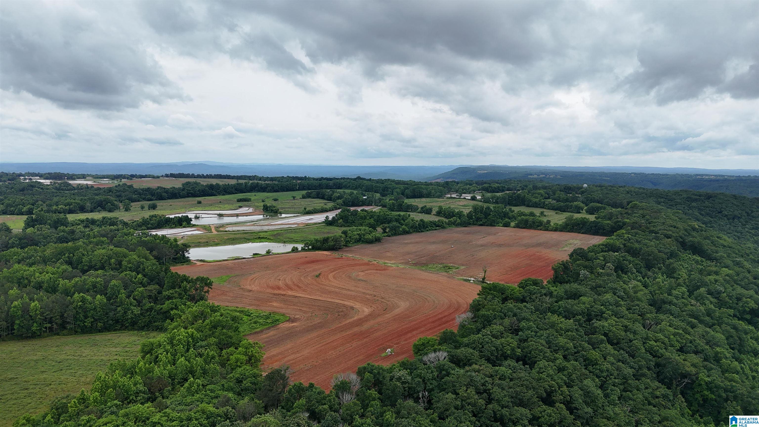 2683 COUNTY ROAD 42 N/A