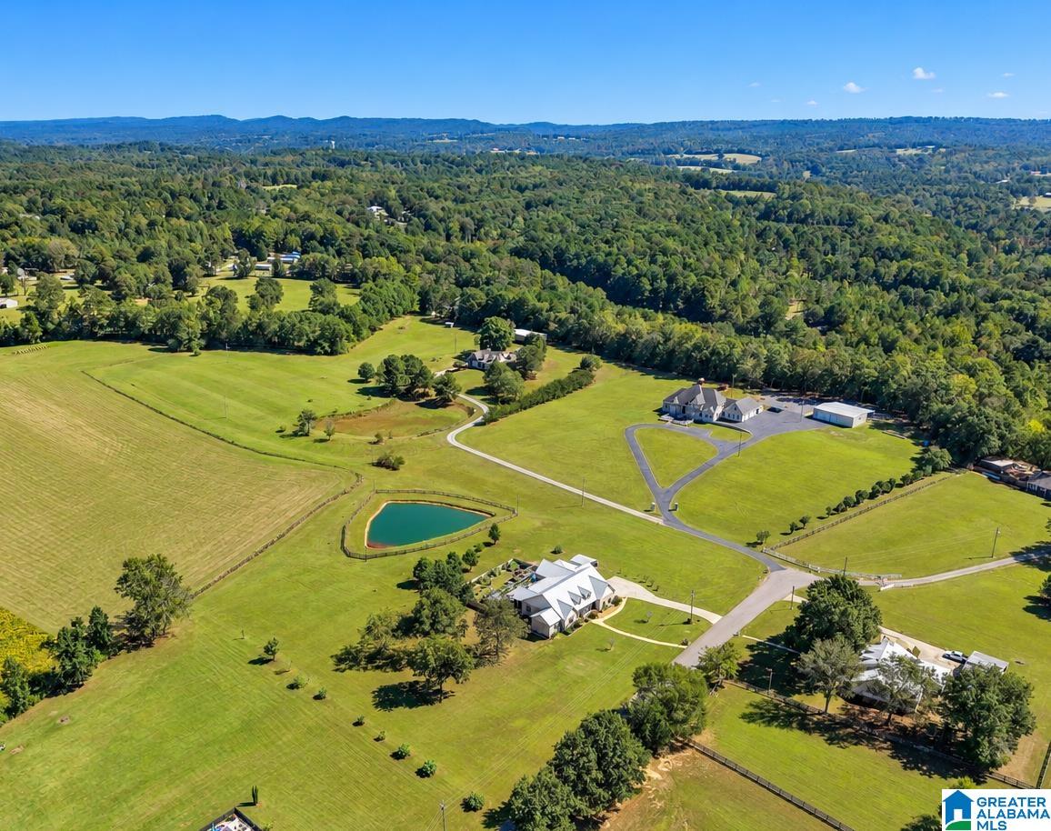 271 CURTIS RICHEY ROAD