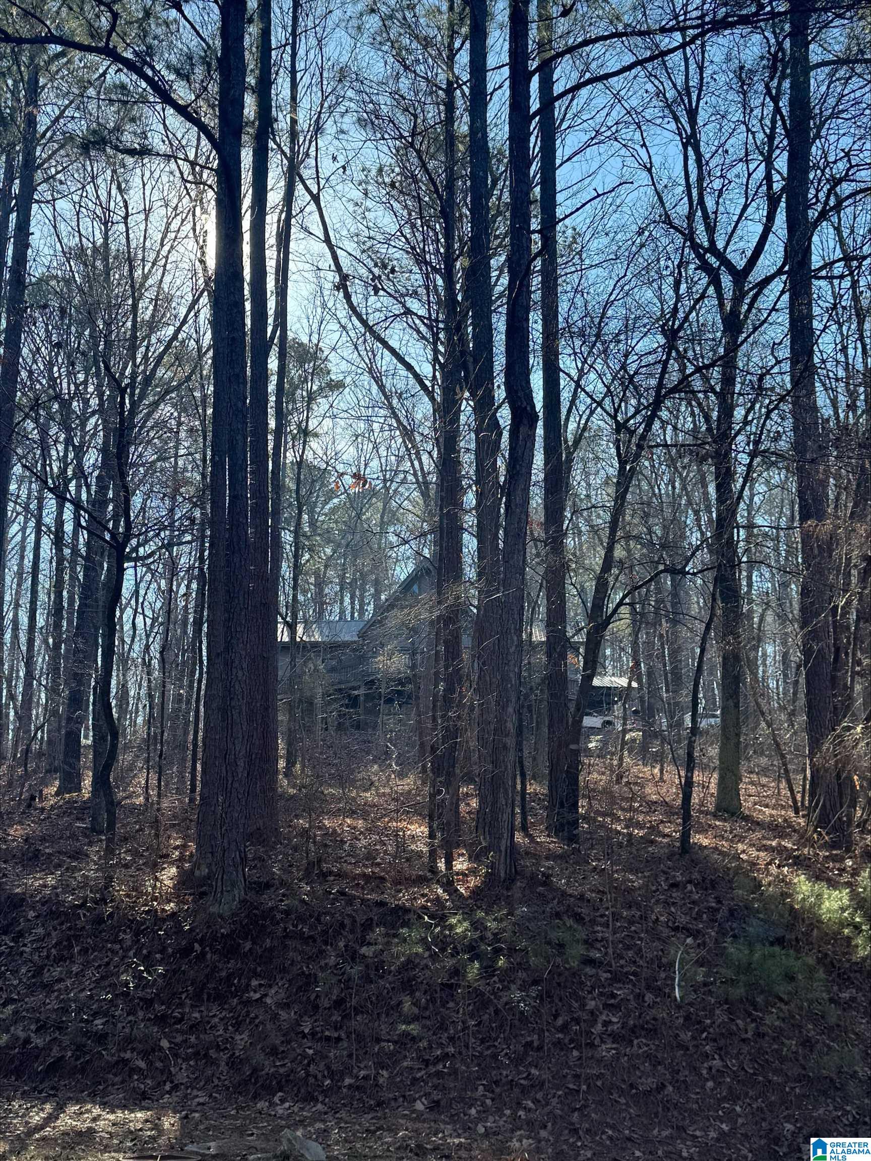 266 DAVIS ACRES DRIVE