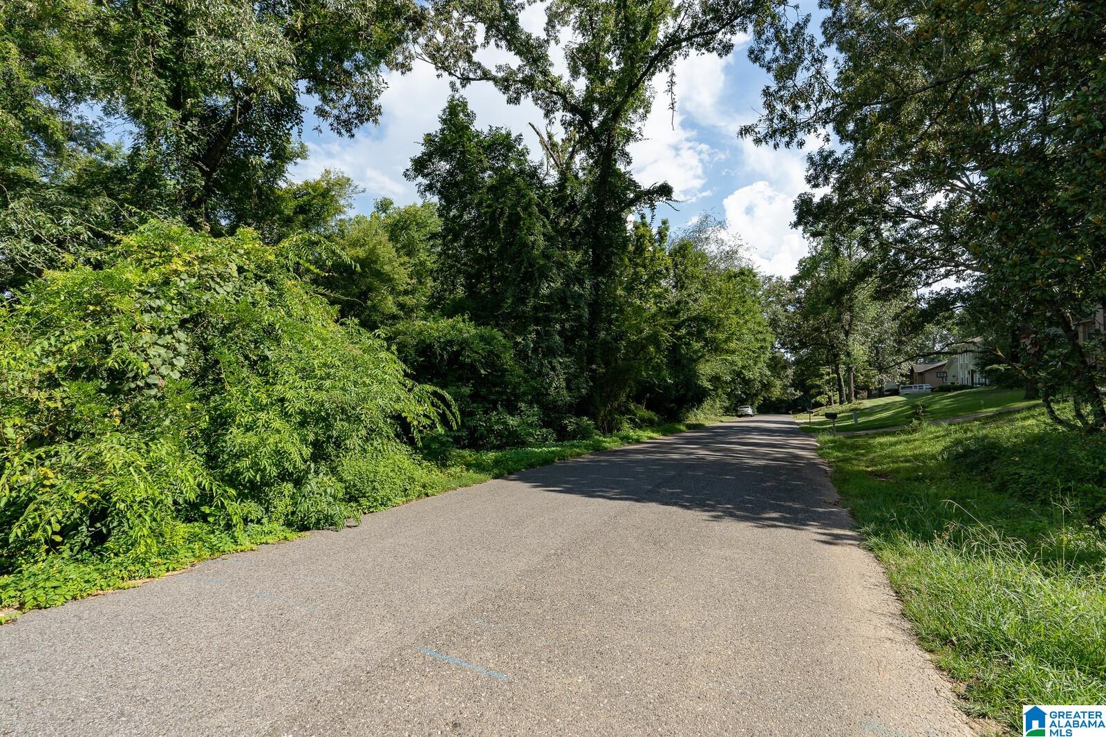 Photo 1 of 8 — 0 MAYFLOWER DRIVE 23 & 24, HOOVER, AL 35226