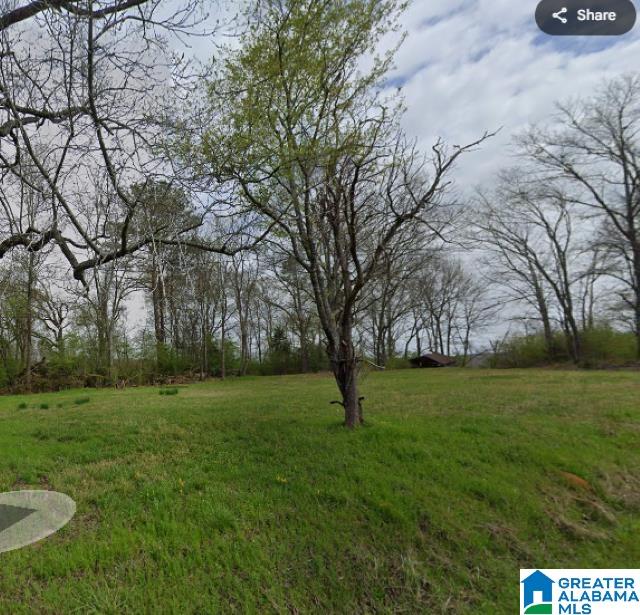 Photo 1 of 1 — 0 HIGGINBOTHAM ROAD /30 Unit /30, PINSON, AL 35126