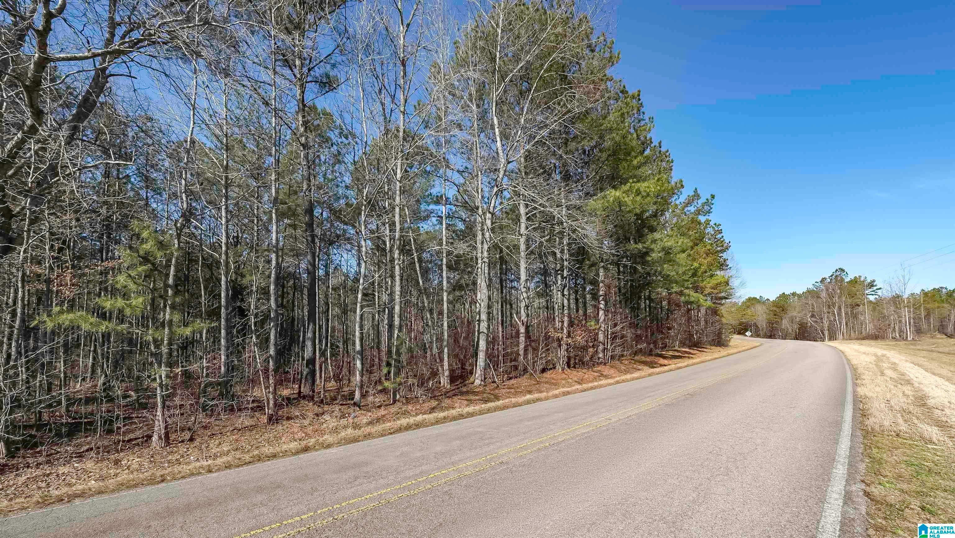 0 COUNTY ROAD 49 0