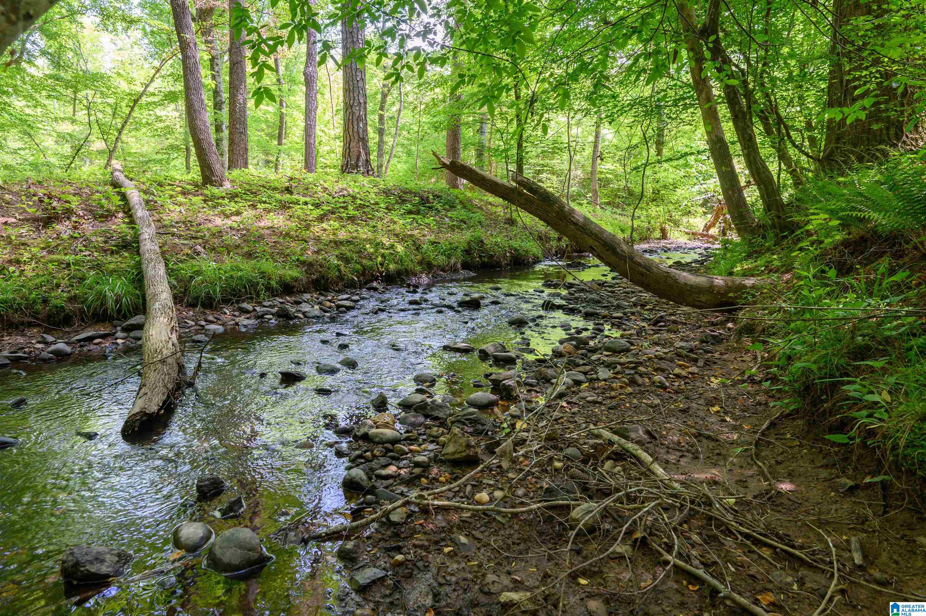 1352 COUNTY ROAD 185