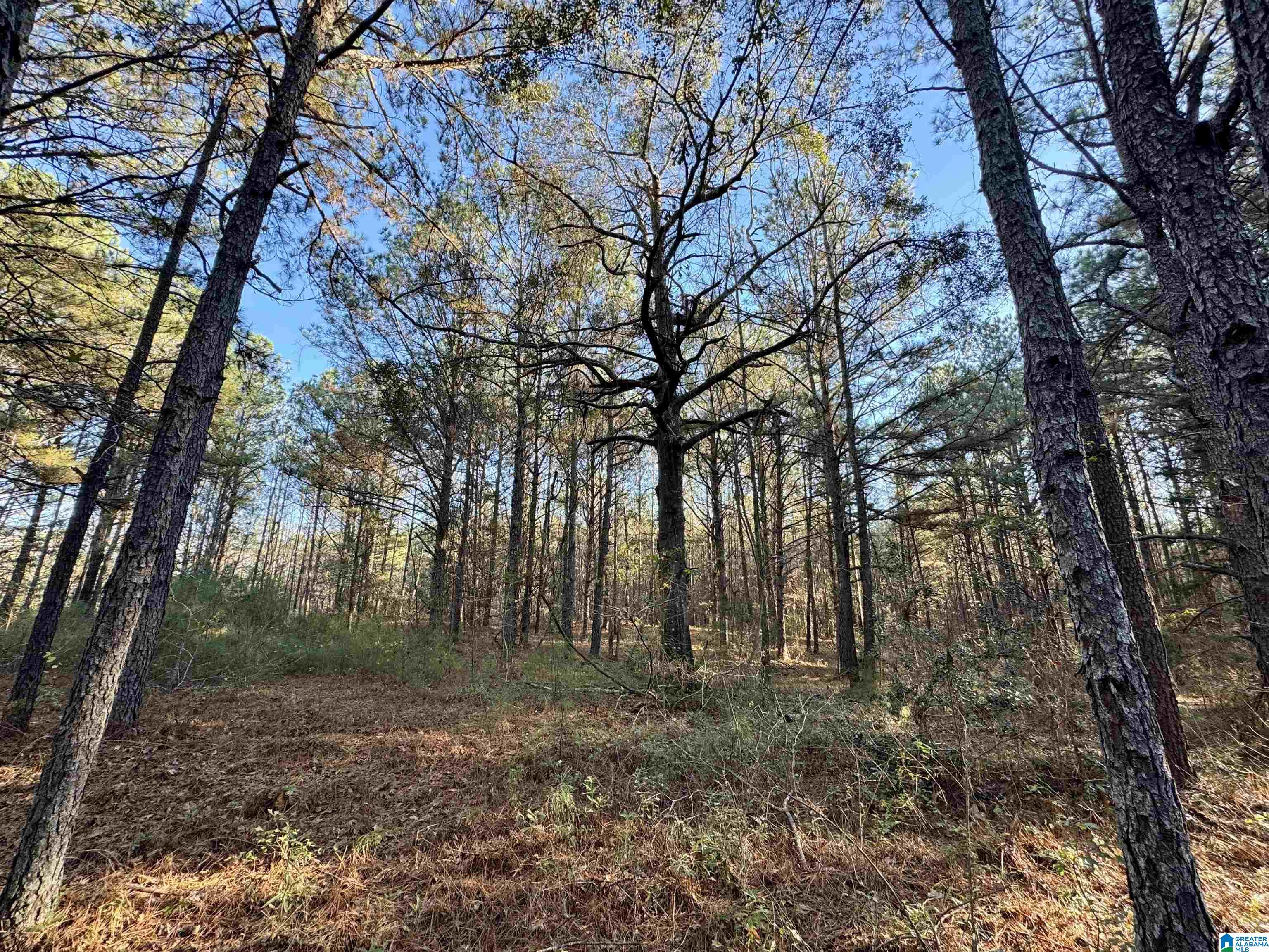 100 PRESBYTERIAN CHURCH ROAD 100