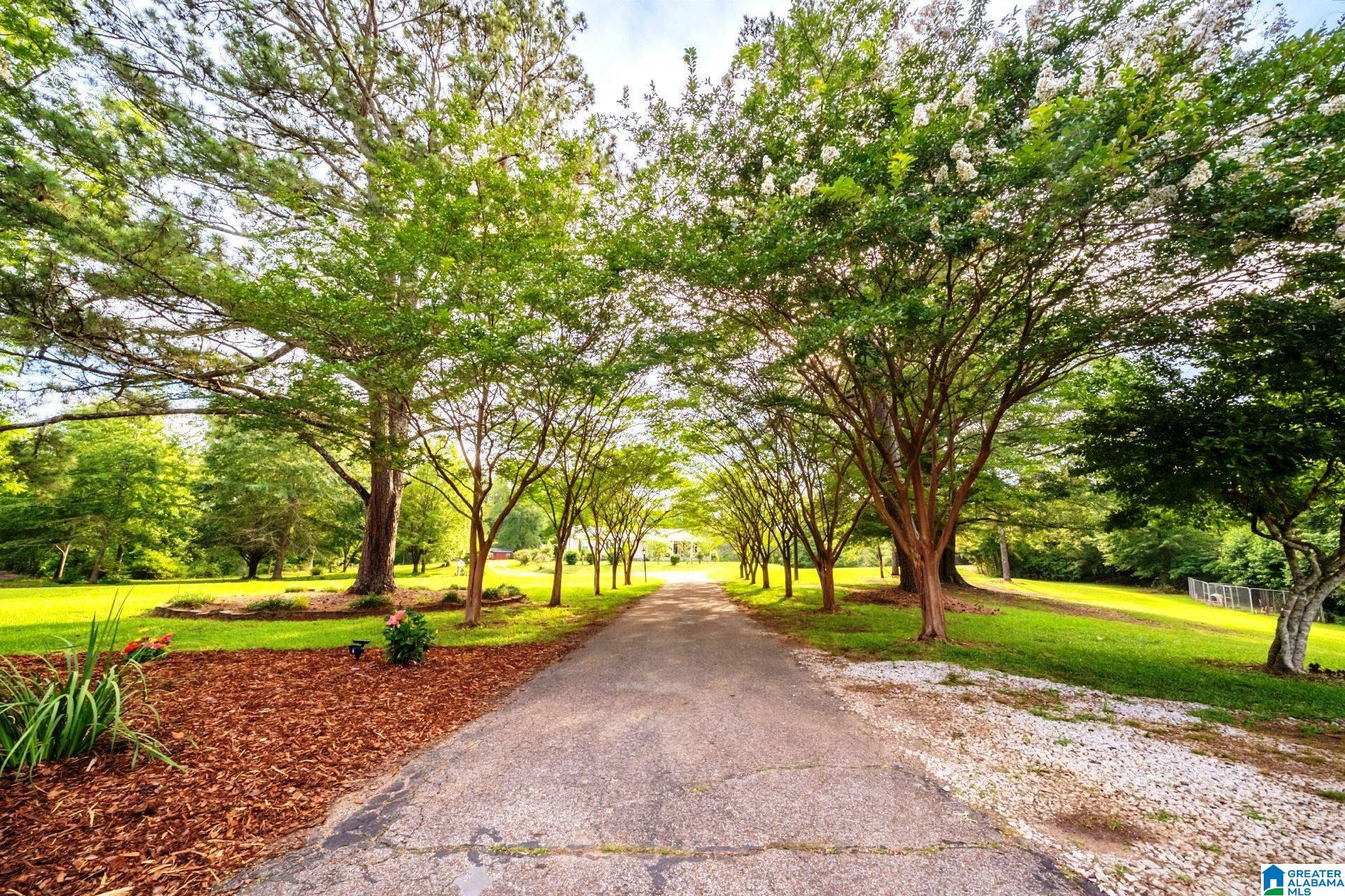 5141 COUNTY ROAD 5