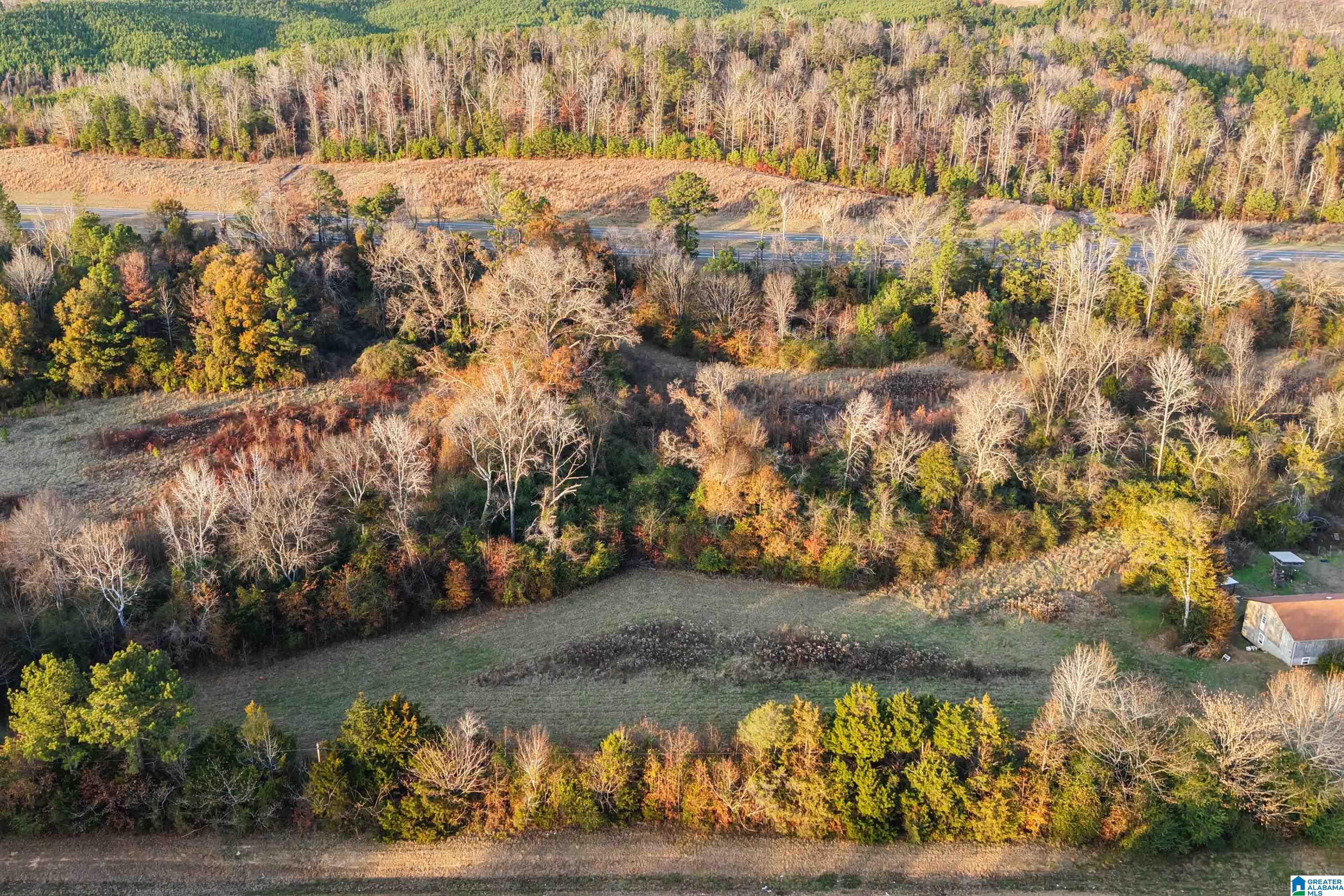 00 MONTGOMERY HIGHWAY 1