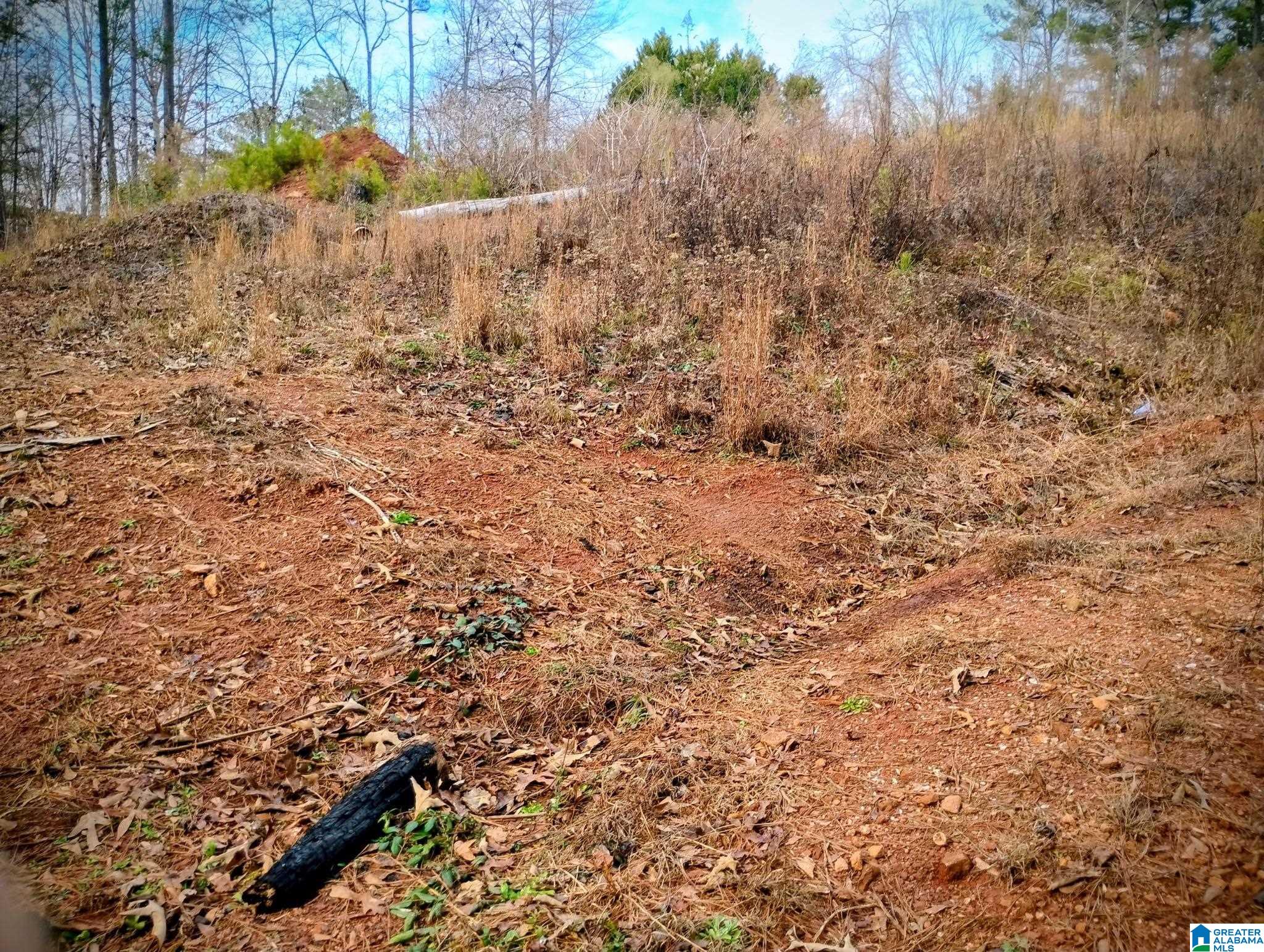Photo 1 of 14 — FOSTER CIRCLE Lot 10, LINEVILLE, AL 36266
