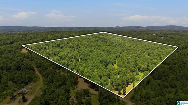 620 LUCAS DR # 620, HAYDEN, AL 35079 - Image 2df52b5c440ed614b68c47fd8cedd54f/792437228