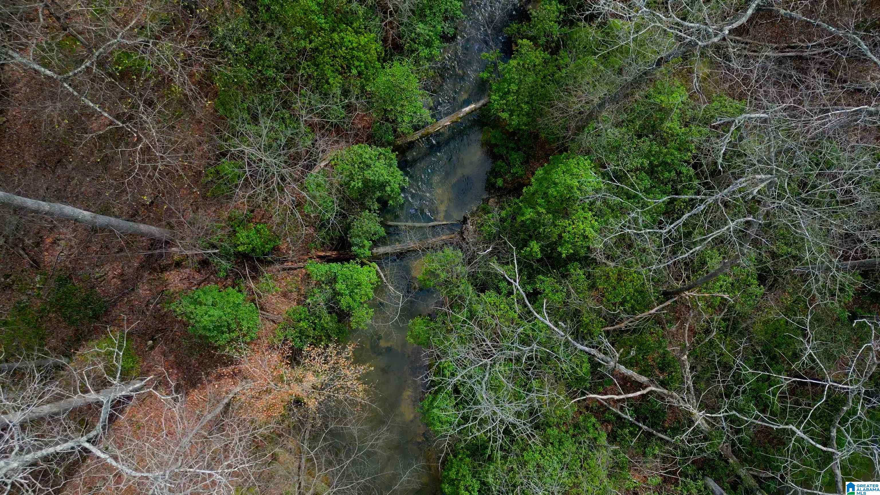 Photo 1 of 16 — 447 OAK TREE DRIVE C2/A, CHELSEA, AL 35043