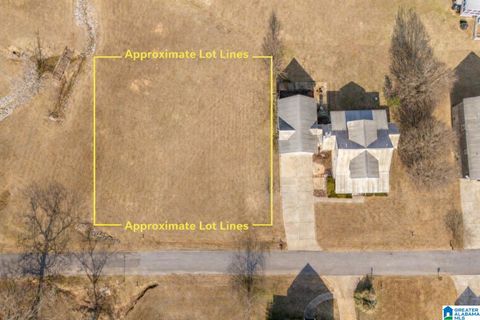 417 PERKINS LANDING COVE 33 COLUMBIANA AL 35051