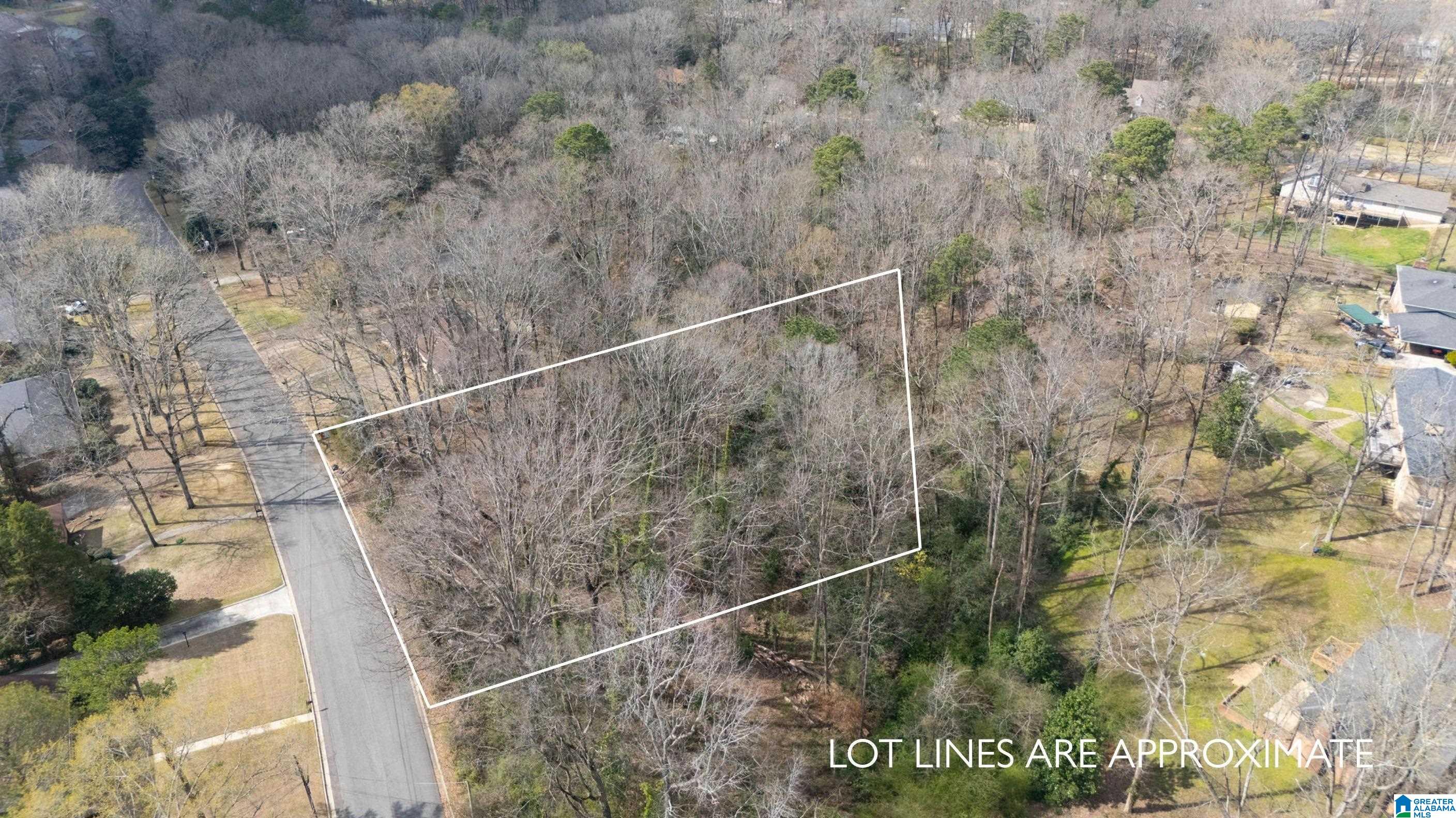 0 FIRETHORN DRIVE 217