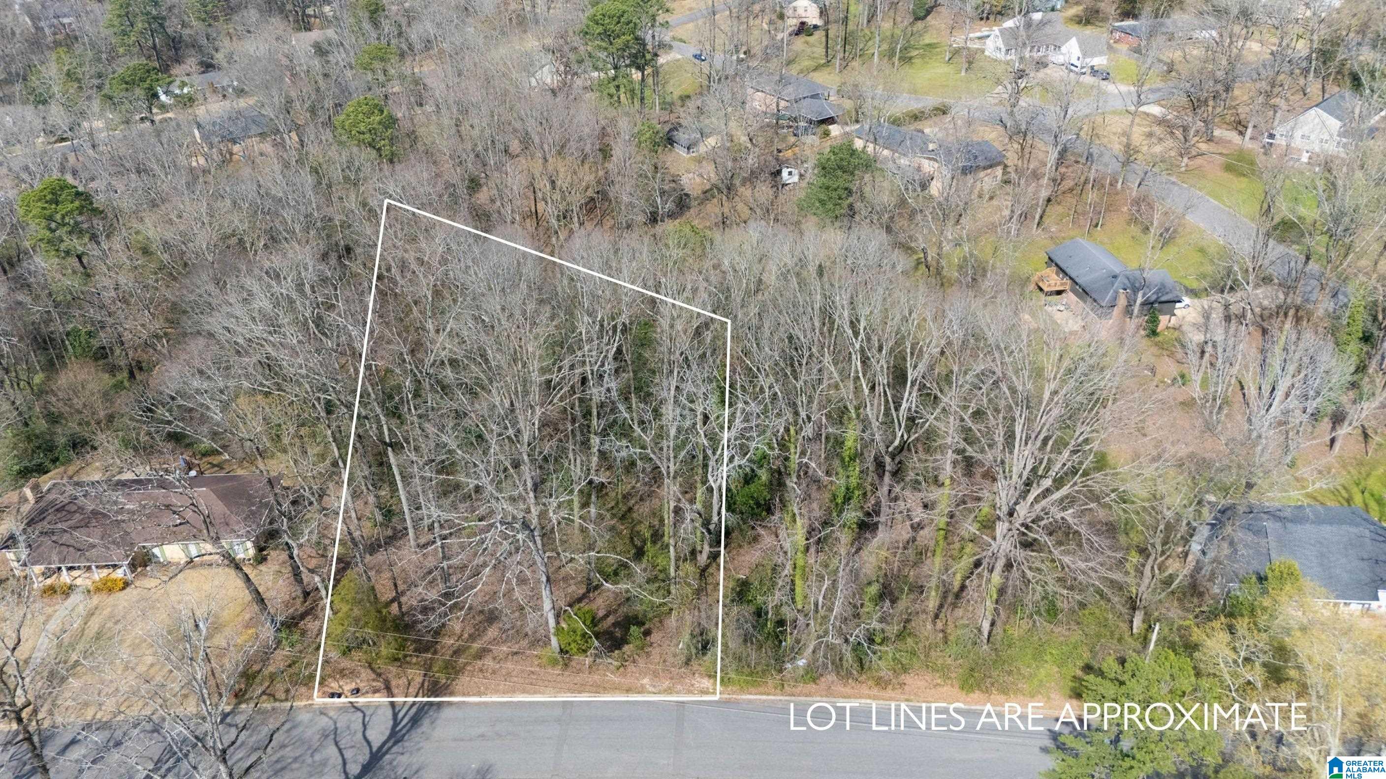 Photo 1 of 4 — 0 FIRETHORN DRIVE 217, TUSCALOOSA, AL 35405