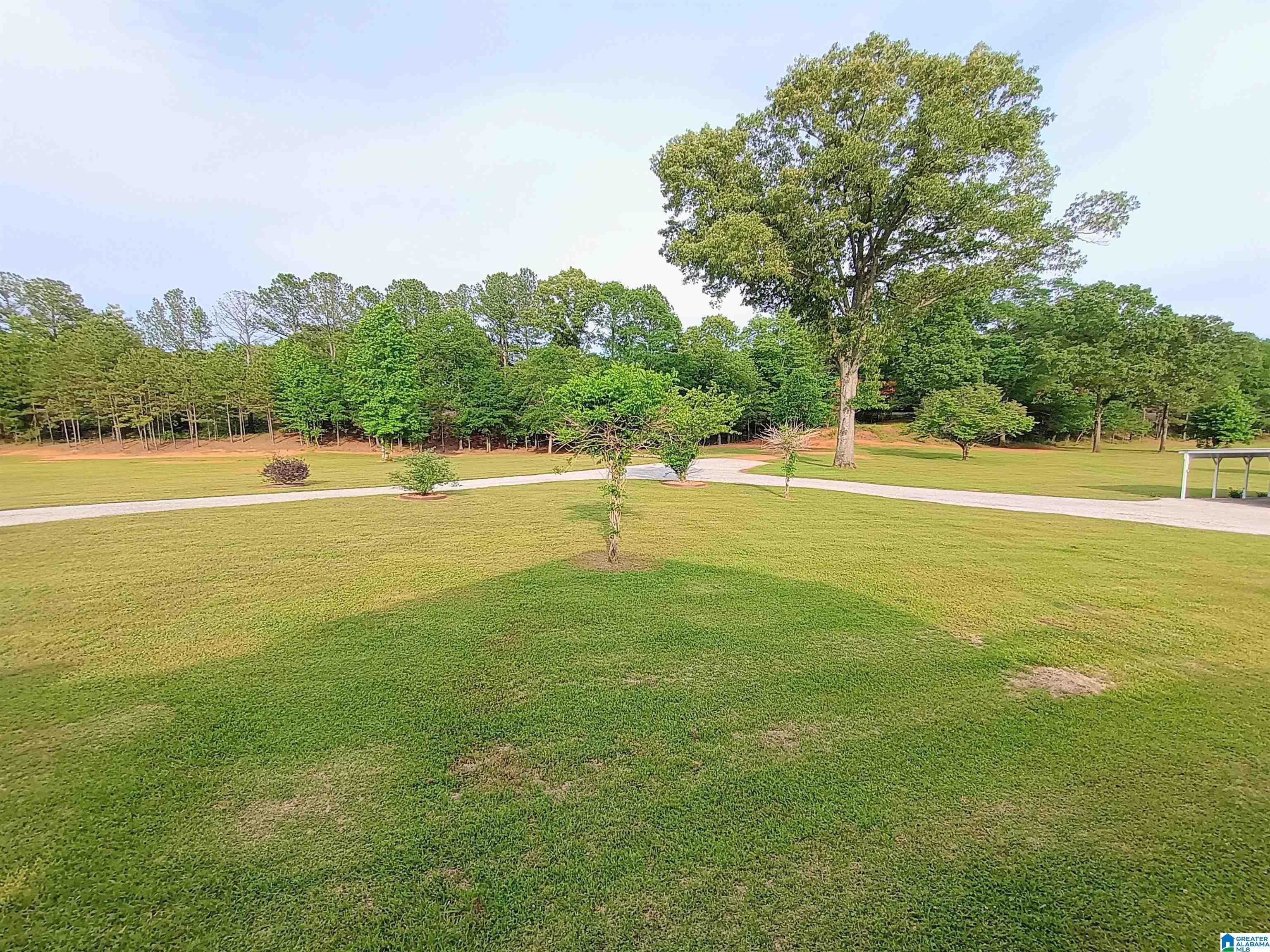335 SHADY HOLLOW LANE - Photo 3