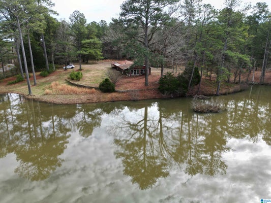 48839 HIGHWAY 25, STERRETT, AL 35147 - Image 2fa11dce20b8dee10d51cbfbfa46b834/447764956
