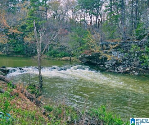 298 BLUEGRASS LANE 24 JASPER AL 35504