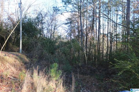 5635 VICTORY LANE 2 CONCORD AL 35023
