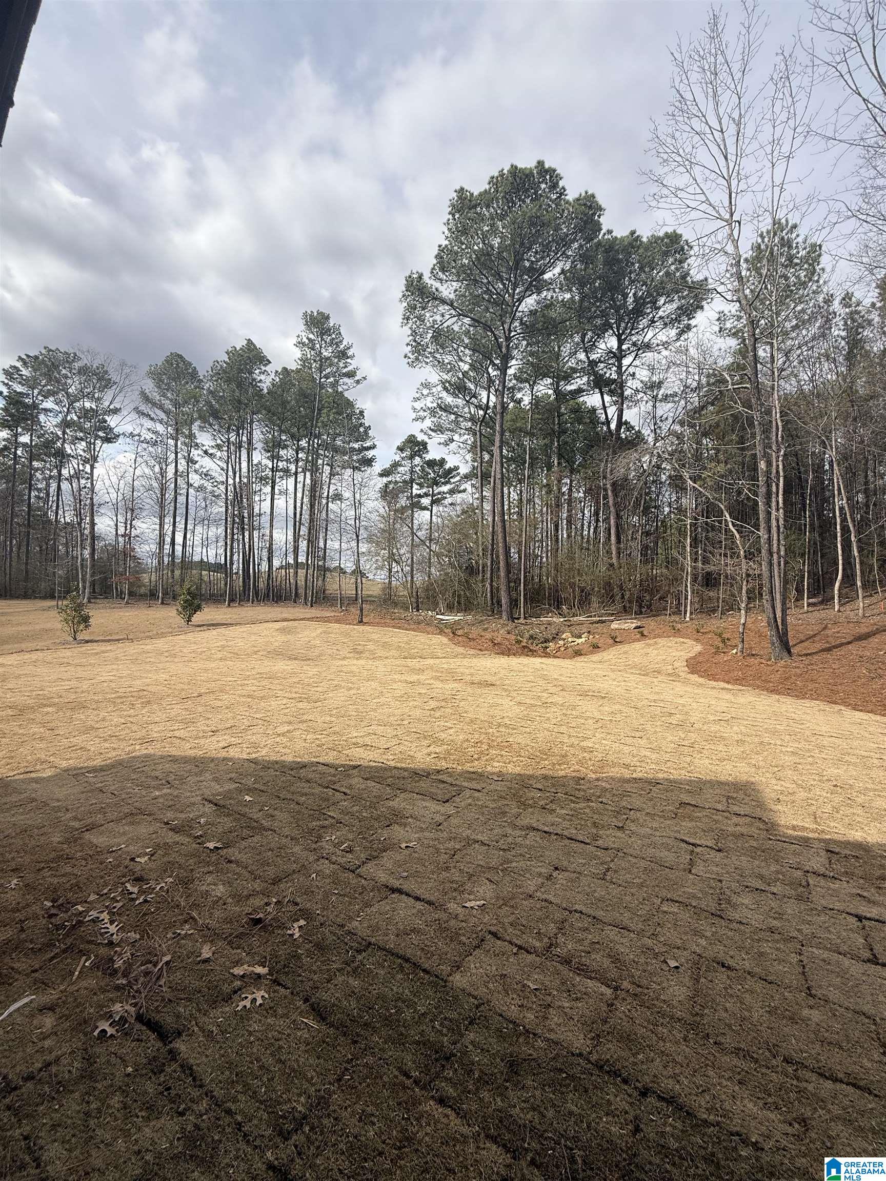 1733 GLASSCOTT TRAIL