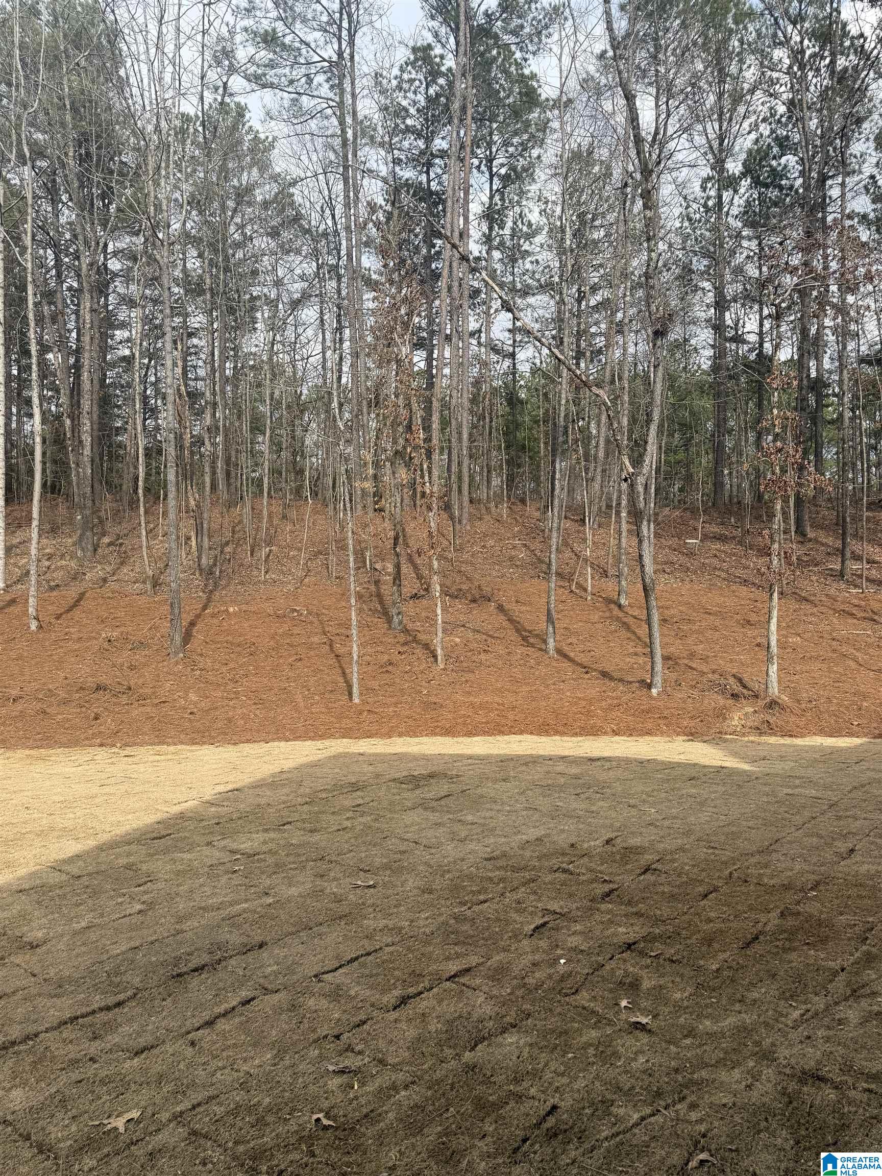 1733 GLASSCOTT TRAIL