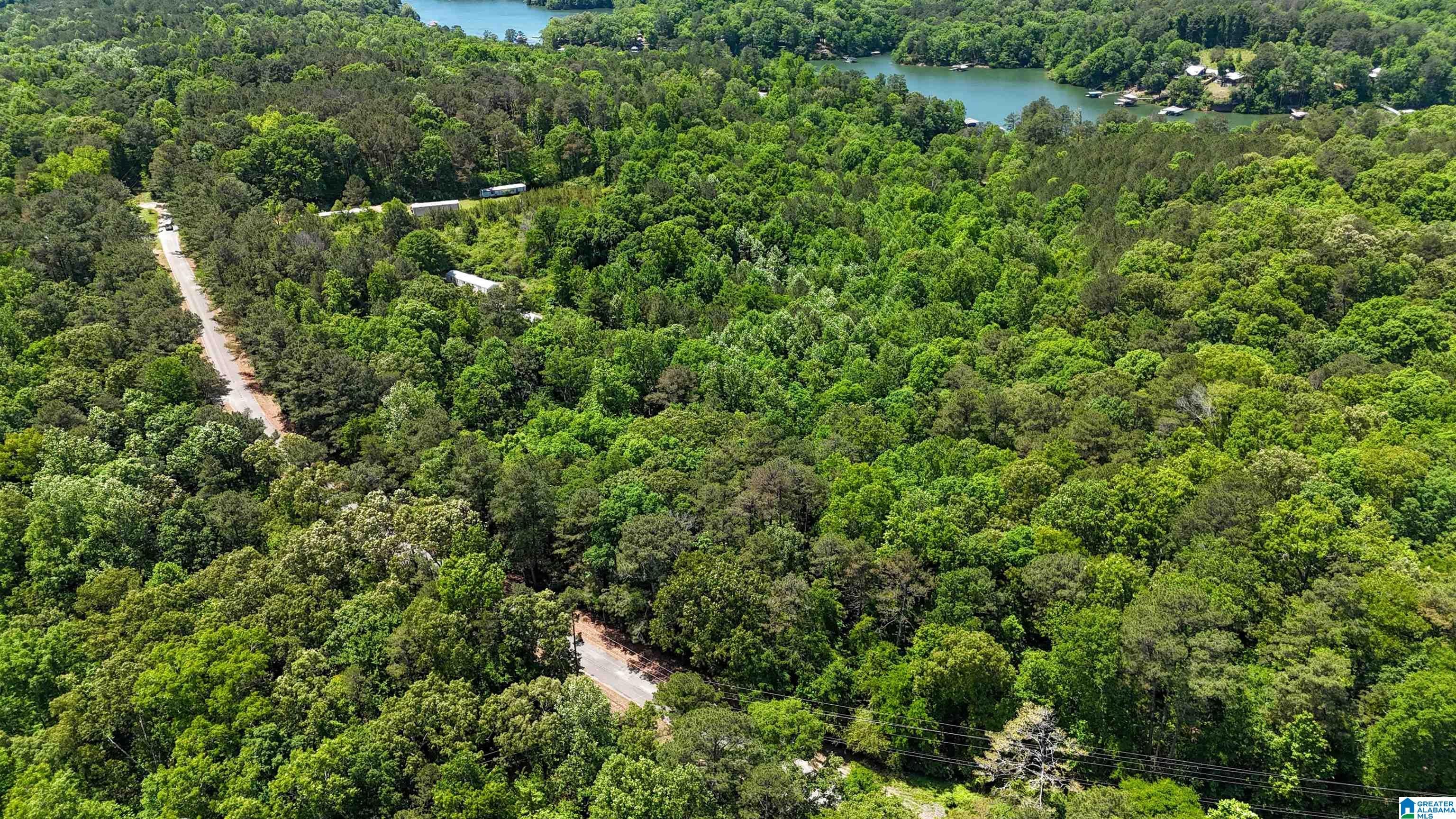 Photo 1 of 7 — 2976 COUNTY ROAD 351 - Unit -, CRANE HILL, AL 35053
